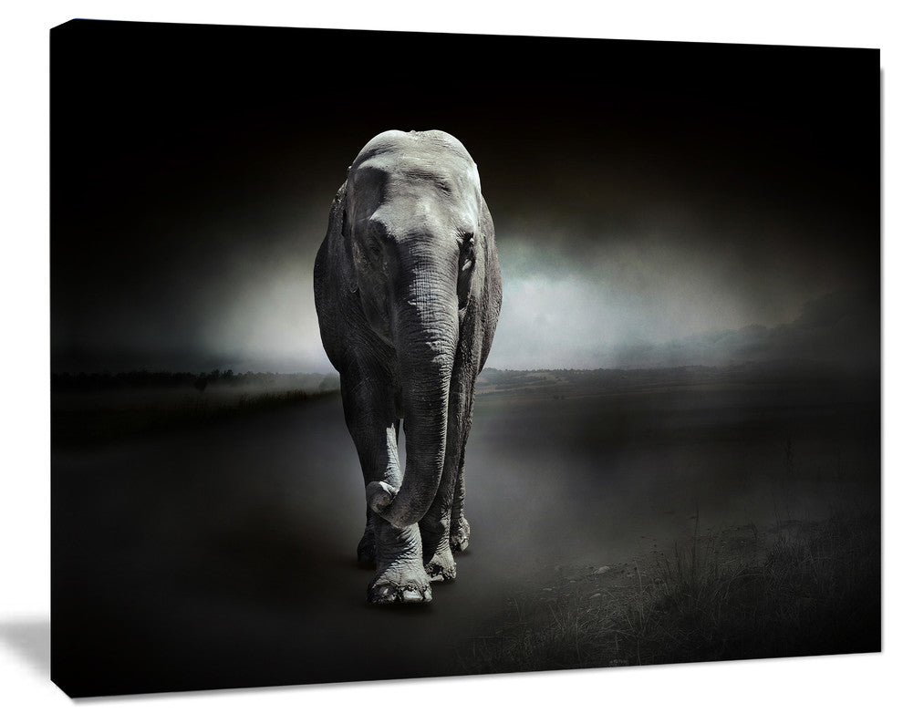 Large Elephant on Black, Animal Canvas Wall Art, 40"x30"