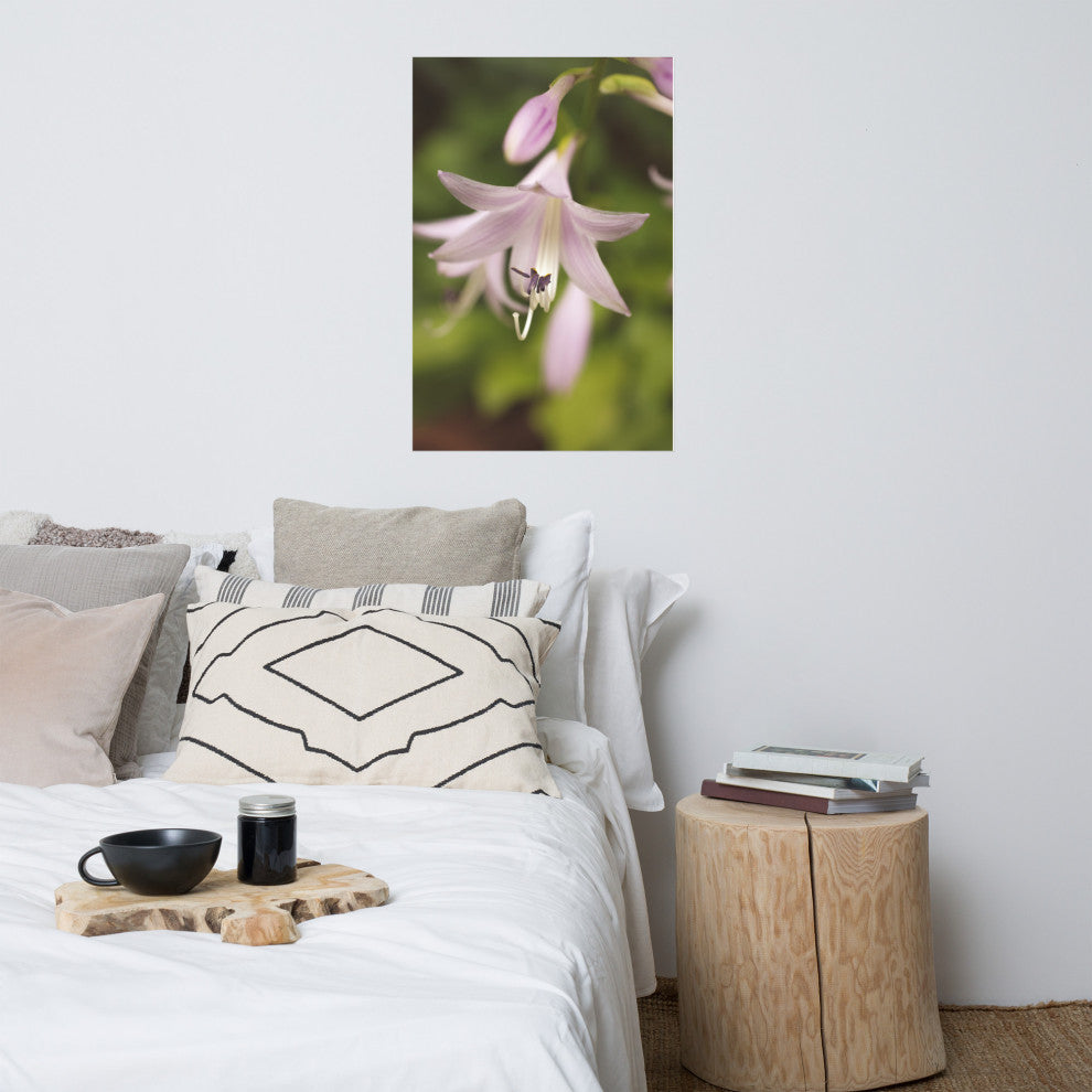 Softened Hosta Bloom Nature Photography, Floral Unframed Wall Art Print, 24" X 36"