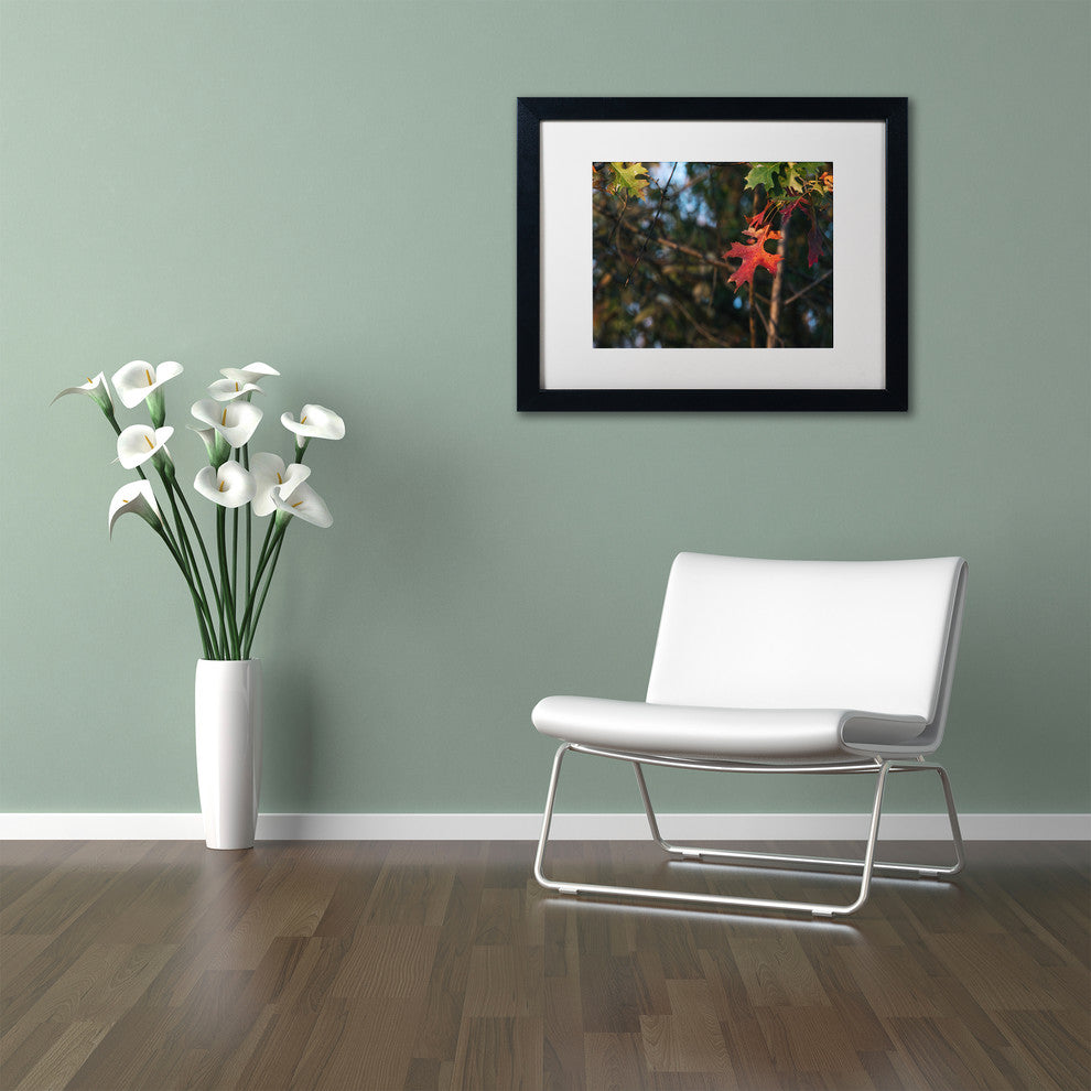 Jason Shaffer ''Oak'' Matted Framed Art, Black Frame, White Mat, 20x16