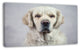 Sad Looking Beautiful Dog, Animal Canvas Art Print, 32"x16"