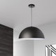 1-Light Incandescent Pendant, Matte Black