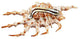 Lampis Shell Place Card Holder With Sterling Silver