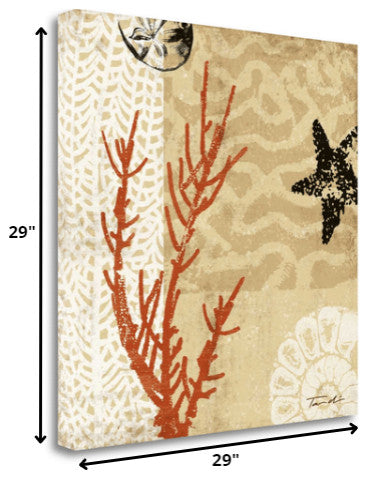 Underwater Coral With Starfish and Sandollar 3 Giclee Wrap Canvas Wall Art