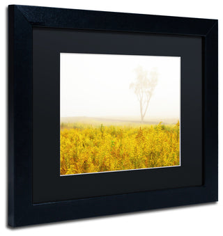 PIPA Fine Art 'Dreams of Goldenrod and Fog' Matted Framed Art, 14x11
