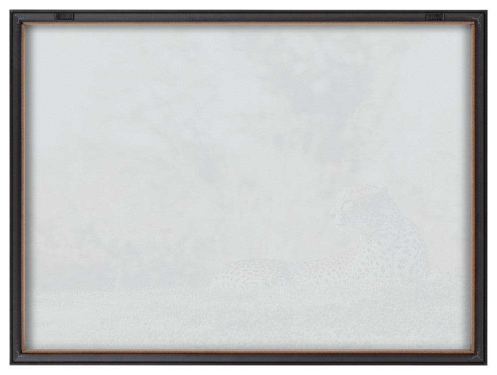 Blake Cheetah Framed Printed Glass by Alicia Abla, Gold 18x24