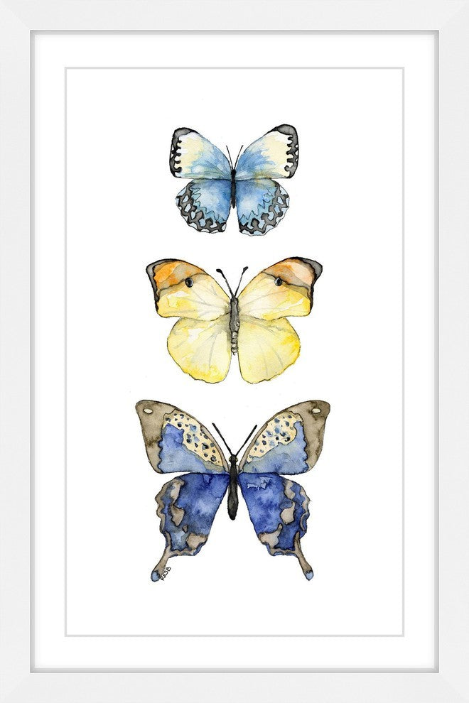 "Three Butterflies" Framed Print by Rachel Byler