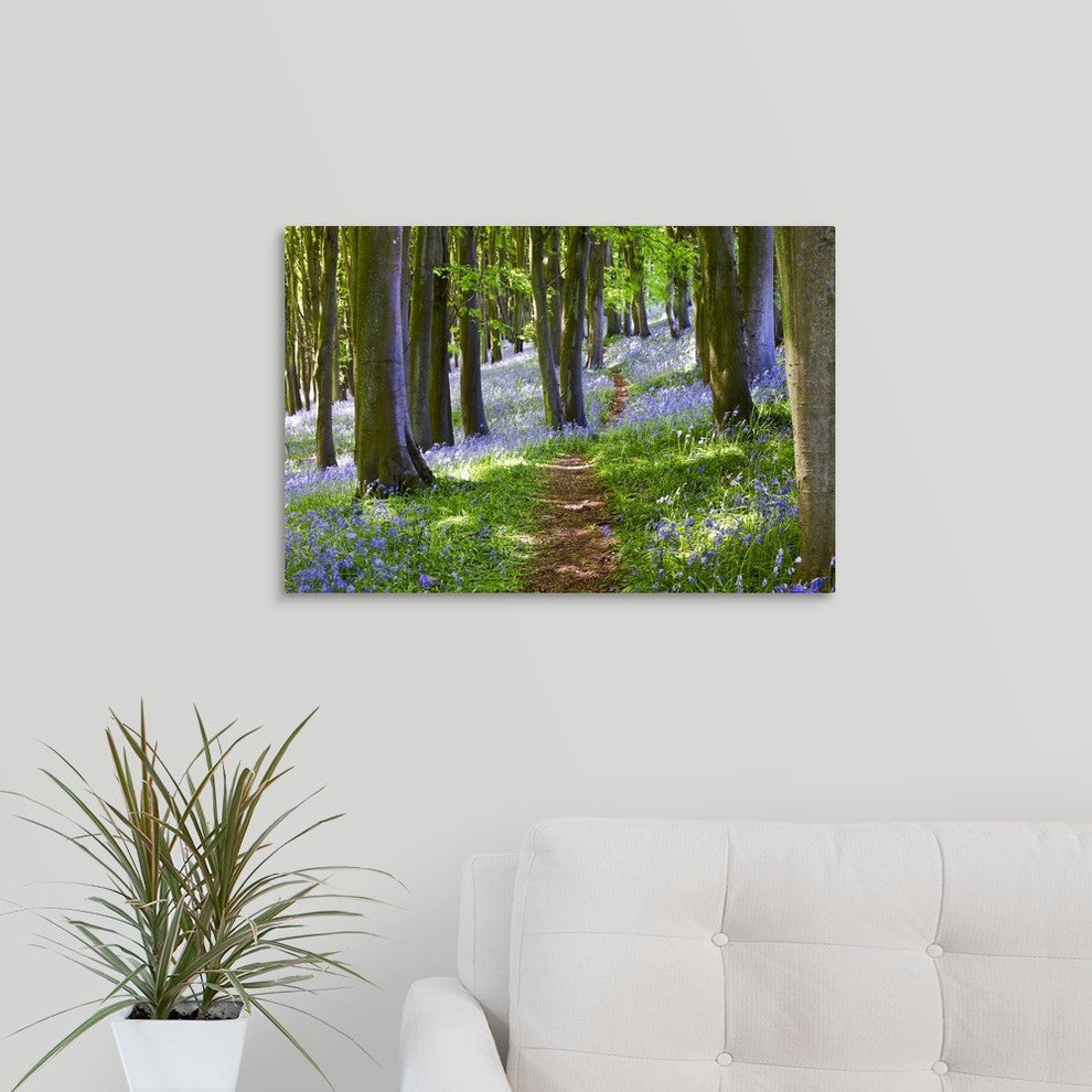 "A Walk in the Woods" Wrapped Canvas Art Print, 24"x16"x1.5"