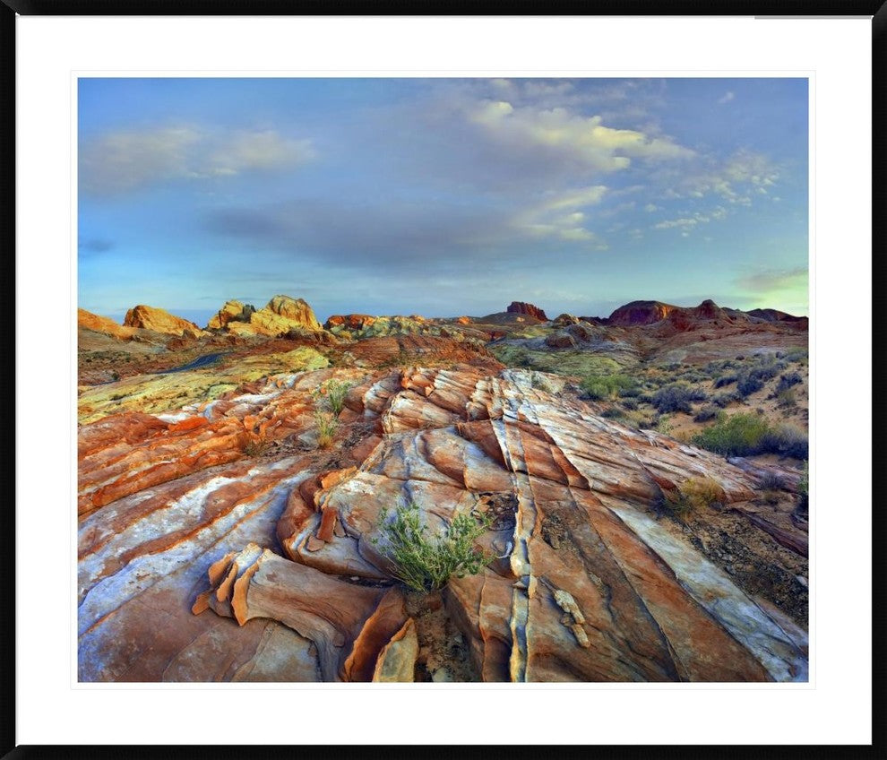 "Rainbow Vista, Valley of Fire State Park, Nevada"  by Tim Fitzharris, 44x37"