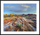 "Rainbow Vista, Valley of Fire State Park, Nevada"  by Tim Fitzharris, 44x37"