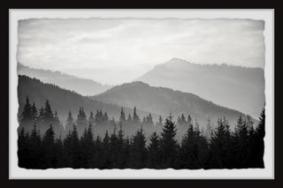 "Pinetree Forest" Framed Painting Print, 18x12
