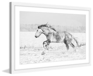 Marmont Hill, "Galloping Joy" Framed Painting Print