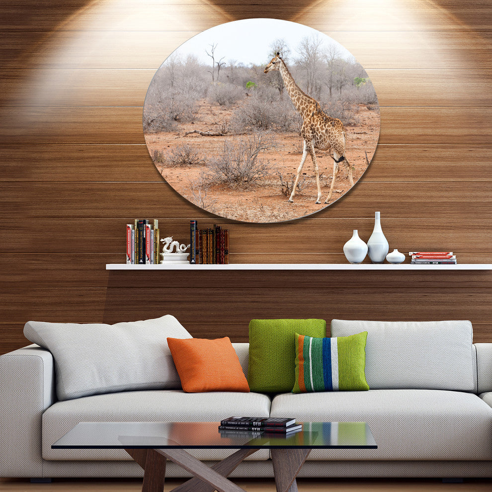 Giraffe Walking Through African Forest, Animal Disc Metal Wall Art, 36"