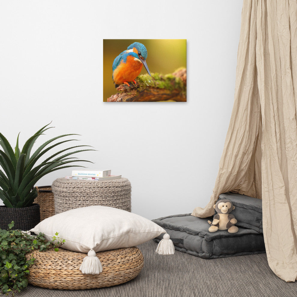 Kingfisher Bird on Perch 2 Animal Wildlife Photo Canvas Wall Art Prints, 18" X 24"