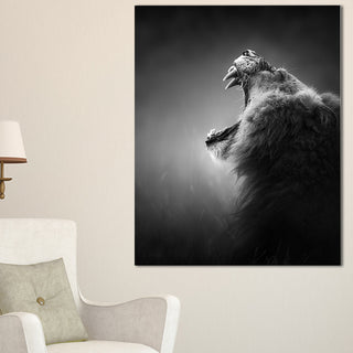 "Lion Displaying Teeth" Animal Canvas Print, 16"x32"