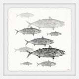 "Freshwater Fish" Framed Painting Print, 12"x12"