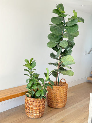 Lacak Round Rattan Decorative Storage Basket With Handles, Small