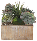Succulents Arrangement With rocks, Square Etched Gold Pot