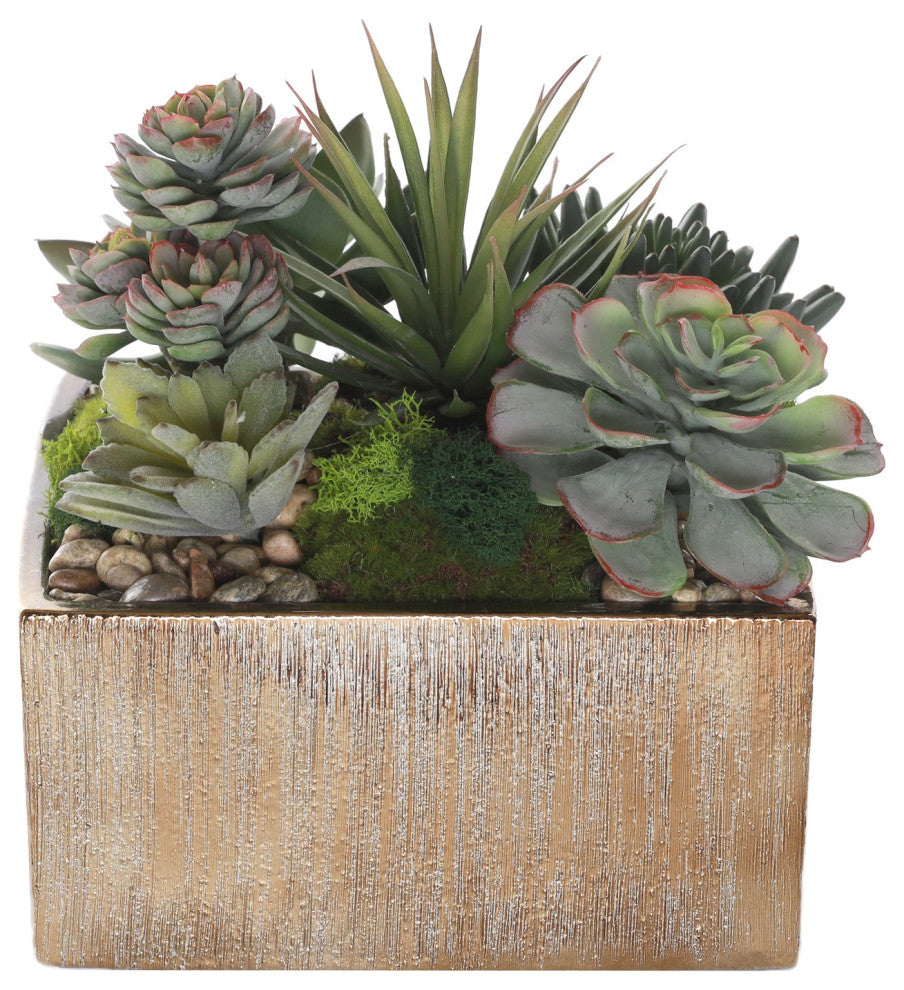 Front-facing main product image on white background; best representation of the Succulents Arrangement in Gold Pot.