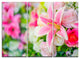 "Beautiful Lily Flowers in Bouquet" Metal Wall Art, 3 Panels, 36"x28"