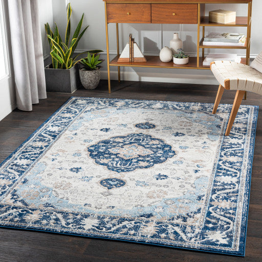 Surya Remy RMY-2308 7'10"x10' Rug, Denim/Dark Blue/Taupe/Gray/Light Gray/White