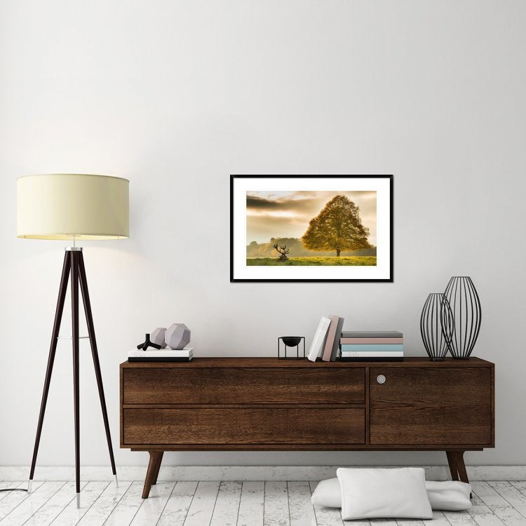 "Untitled" Framed Digital Print by Tudor Amot, 38x25"