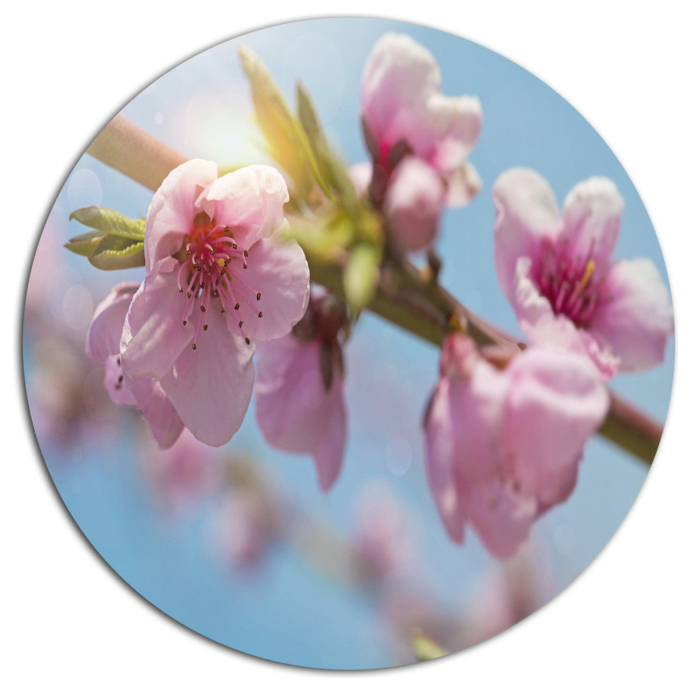 Stem Of Peach Blossom Flowers, Floral Round Metal Wall Art, 23"