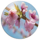 Stem Of Peach Blossom Flowers, Floral Round Metal Wall Art, 23"