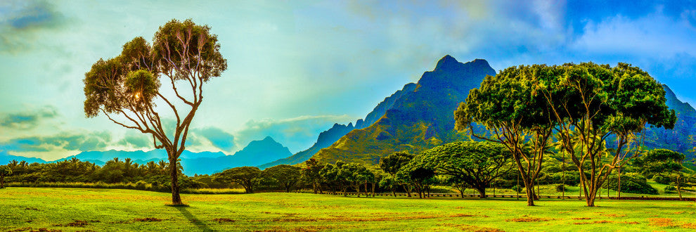 Kualoa Park-PANO - Canvas Giclee, 15" X 5"