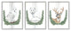 Arctic Animals Botanical Leaves Portrait Snowy Owl Deer Fox, 3pc, each 11 x 14
