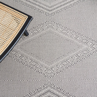 Safavieh Augustine Collection, AGT502 Rug