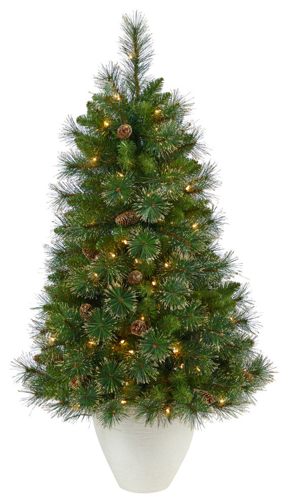 50" Golden Tip Washington Pine Christmas Tree wt 100 Clear Lights, Pine Cones