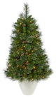 50" Golden Tip Washington Pine Christmas Tree wt 100 Clear Lights, Pine Cones