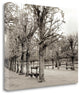 "Banc De Jardin - 63" By Alan Blaustein, Giclee Print on Gallery Wrap Canvas
