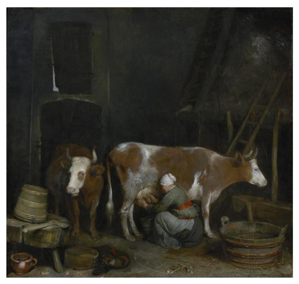 "A Maid Milking a Cow in a Barn" Print by Gerard ter Borch, 46"x44"