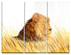 "Lion Watching the Surroundings" Metal Wall Art, 3 Panels, 36"x28"