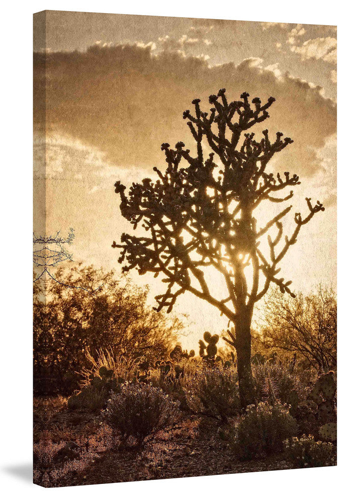 "Sonoran Sun" Painting Print on Canvas by Robertson