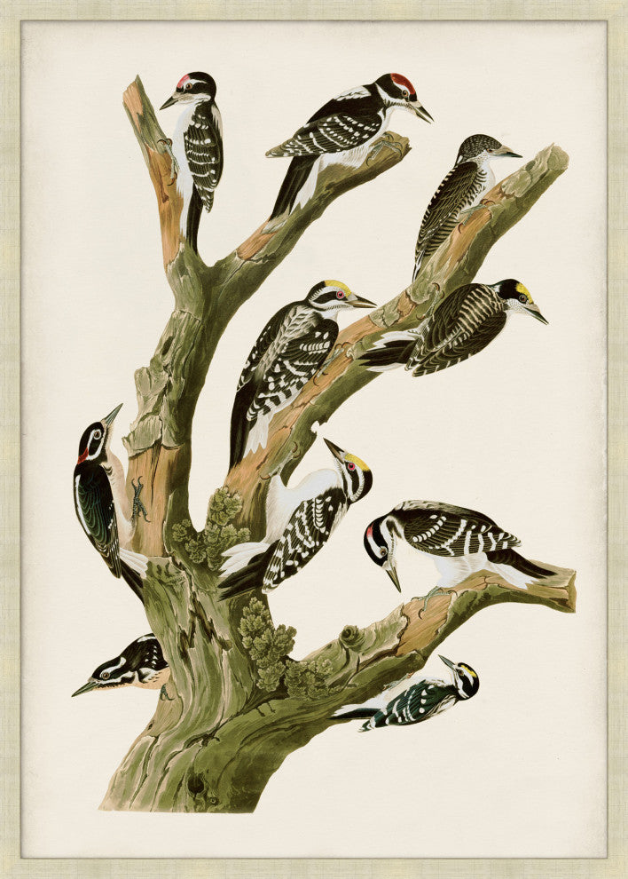 Lofty Perch 2, Giclee Reproduction Artwork
