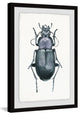 "Armored Bug" Framed Painting Print, 16"x24"