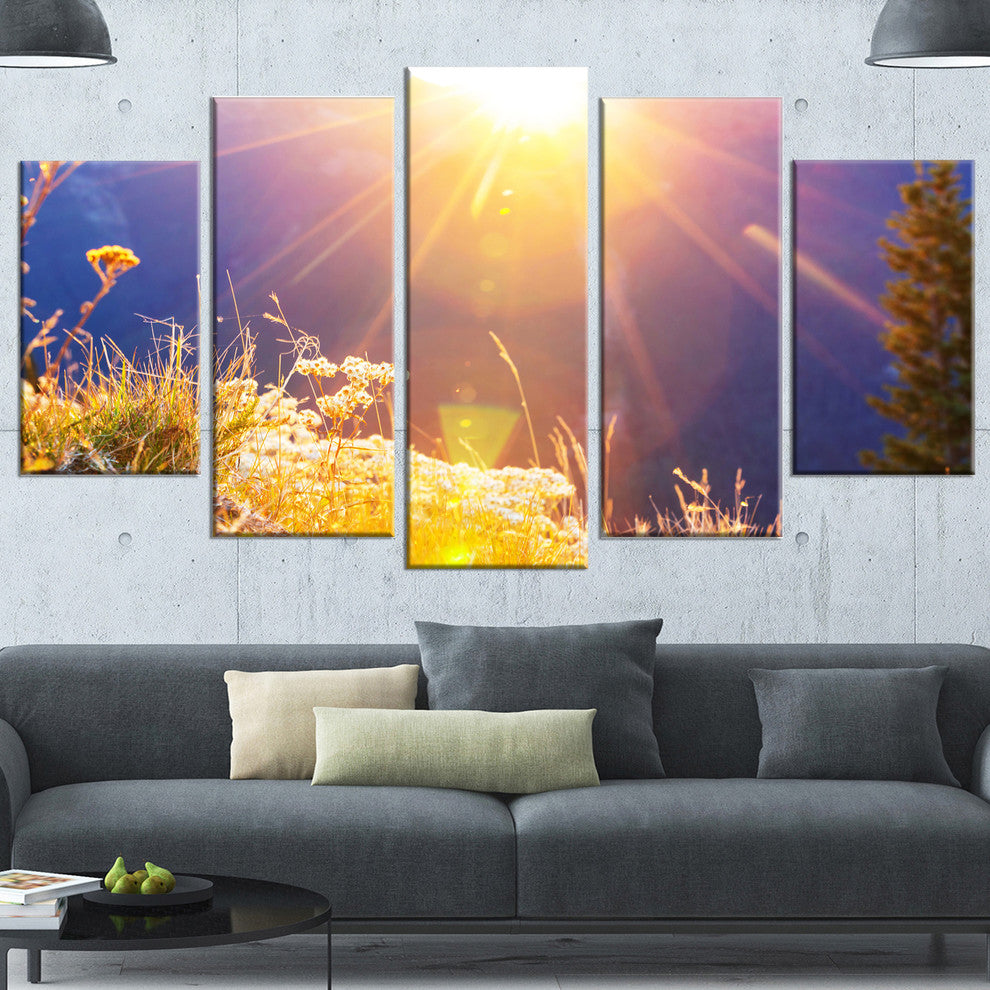 Rural Meadow Flowers At Sunset, Landscape Canvas Art Print, 60"x32", 5 Panels