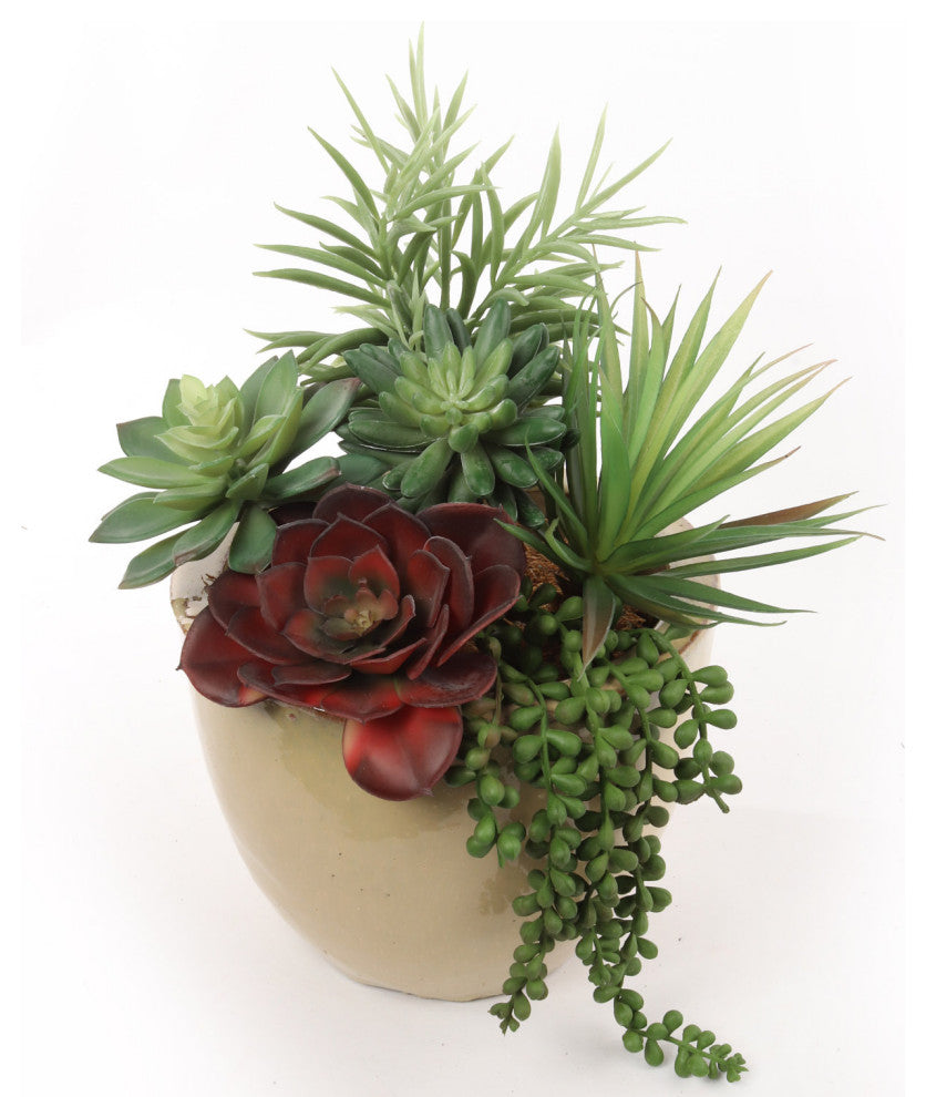 Succulent Assortment Picks, Six Pack Natural Sized Artificial Plants