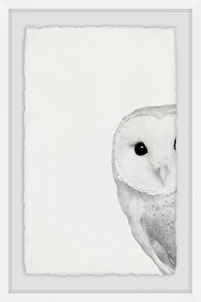 "Hidden Owl" Framed Painting Print, 30"x45"