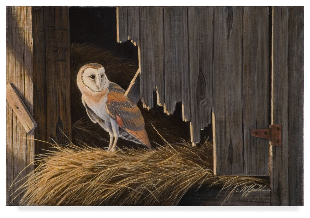 Wilhelm Goebel 'Ready For The Hunt Barn Owl' Canvas Art, 32"x22"