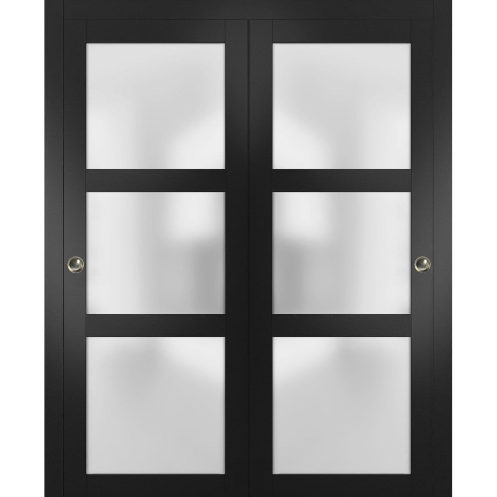 Closet Frosted Glass Bypass Doors 36 x 84, Lucia 2552 Matte Black