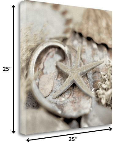 15" Sandy Starfish and Seashells 2 Giclee Wrap Canvas Wall Art