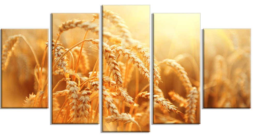 Ears of Golden Wheat Close up, Large Landscape Canvas Art, 60"x32", 5 Panels