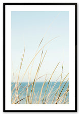 Satin Black 24" x 36" Peacefully Swaying  Framed Print