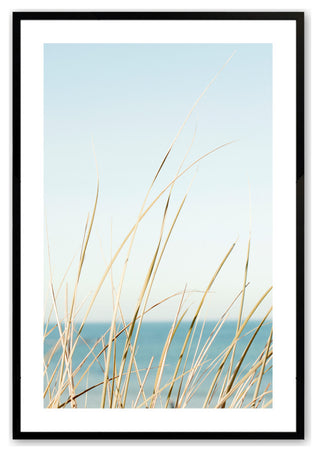 Satin Black 24" x 36" Peacefully Swaying  Framed Print