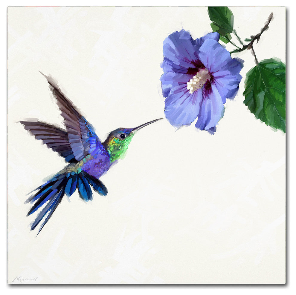 The Macneil Studio 'Humming Bird' Canvas Art, 24"x24"