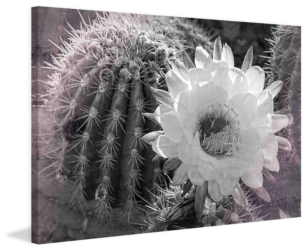 "Desert Queen" Painting Print on Canvas by Robertson