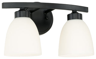 Capital Lighting 114321-333 Jameson 2 Light 13"W Bathroom Vanity - Matte Black